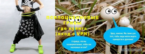 apvp Балахна